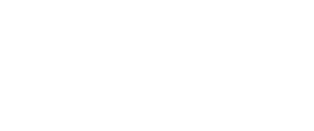 Logo der Mittelstand BVMW